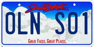 SD license plate 0LNS01