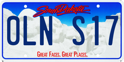SD license plate 0LNS17