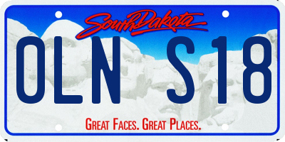 SD license plate 0LNS18