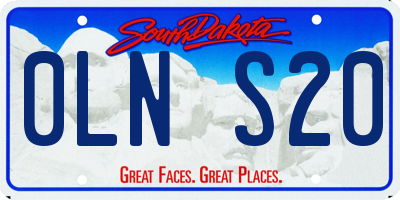 SD license plate 0LNS20
