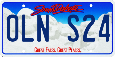 SD license plate 0LNS24