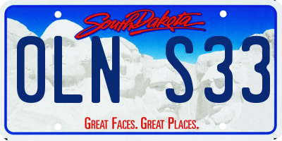 SD license plate 0LNS33