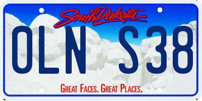 SD license plate 0LNS38