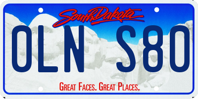 SD license plate 0LNS80