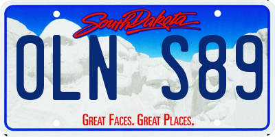 SD license plate 0LNS89