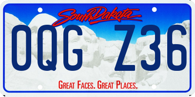 SD license plate 0QGZ36