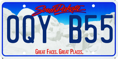 SD license plate 0QYB55