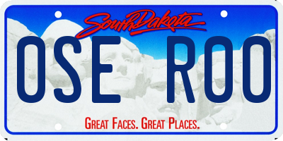 SD license plate 0SER00