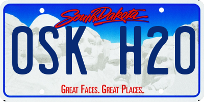 SD license plate 0SKH20