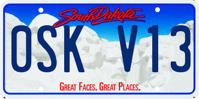 SD license plate 0SKV13