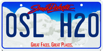 SD license plate 0SLH20