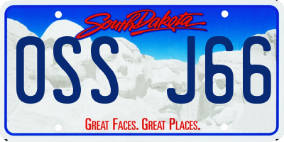 SD license plate 0SSJ66