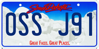 SD license plate 0SSJ91