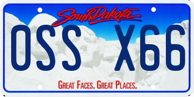 SD license plate 0SSX66