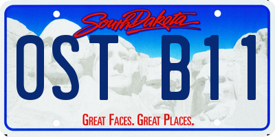 SD license plate 0STB11