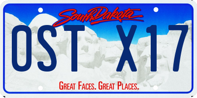 SD license plate 0STX17