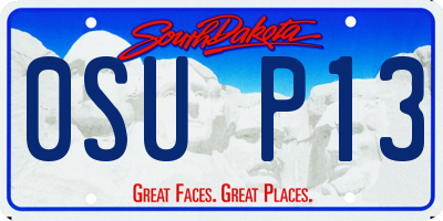 SD license plate 0SUP13