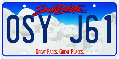 SD license plate 0SYJ61