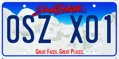 SD license plate 0SZX01
