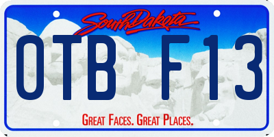 SD license plate 0TBF13