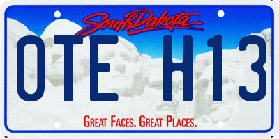 SD license plate 0TEH13