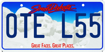 SD license plate 0TEL55