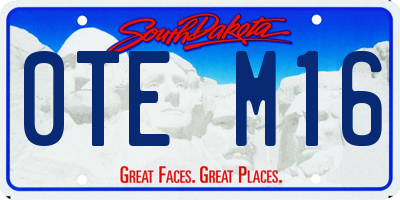 SD license plate 0TEM16