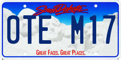 SD license plate 0TEM17