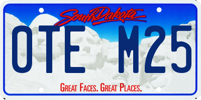 SD license plate 0TEM25
