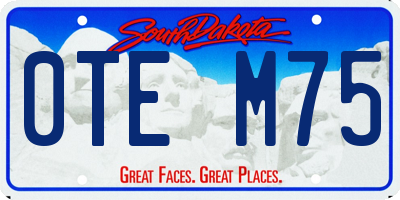 SD license plate 0TEM75