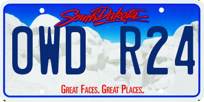 SD license plate 0WDR24