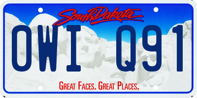 SD license plate 0WIQ91