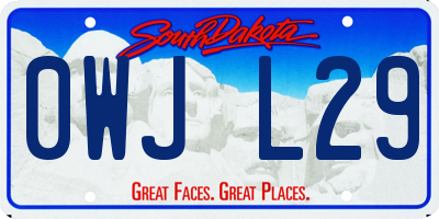 SD license plate 0WJL29