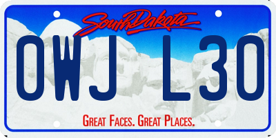 SD license plate 0WJL30