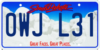 SD license plate 0WJL31