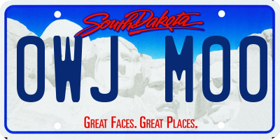 SD license plate 0WJM00