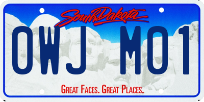 SD license plate 0WJM01