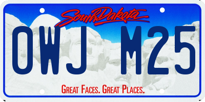 SD license plate 0WJM25