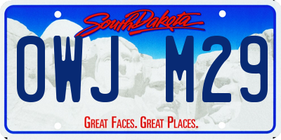 SD license plate 0WJM29
