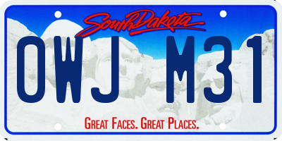 SD license plate 0WJM31