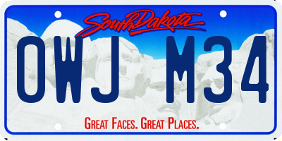 SD license plate 0WJM34