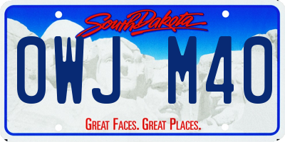 SD license plate 0WJM40
