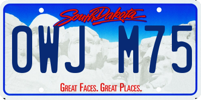 SD license plate 0WJM75