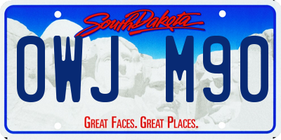 SD license plate 0WJM90