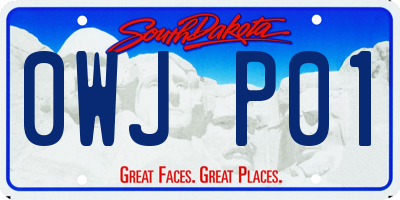 SD license plate 0WJP01