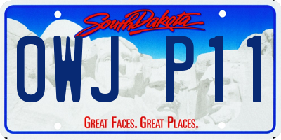 SD license plate 0WJP11