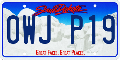 SD license plate 0WJP19