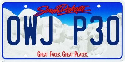 SD license plate 0WJP30
