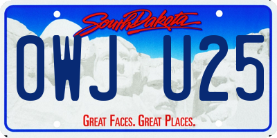 SD license plate 0WJU25