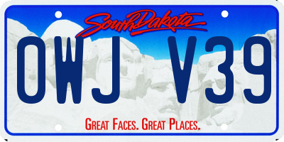 SD license plate 0WJV39